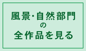 小学生から出品できる岡山の展示型の写真コンテスト　OKAYAMA PHOTO AWARDの全作品を公開。風景写真やスナップ写真、ポートレート、鉄道写真や花の写真などたくさんの写真が展示されていました