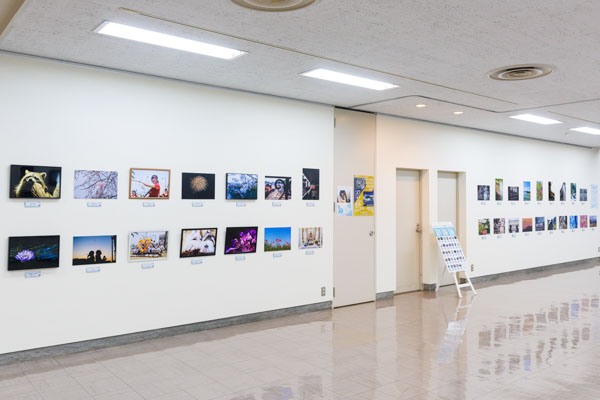 岡山の写真コンテストOKAYAMA PHOTO AWARD 2024 の会場風景写真。倉敷市立美術館１階で全149点の全紙やA2部門によりA3の写真を展示しました